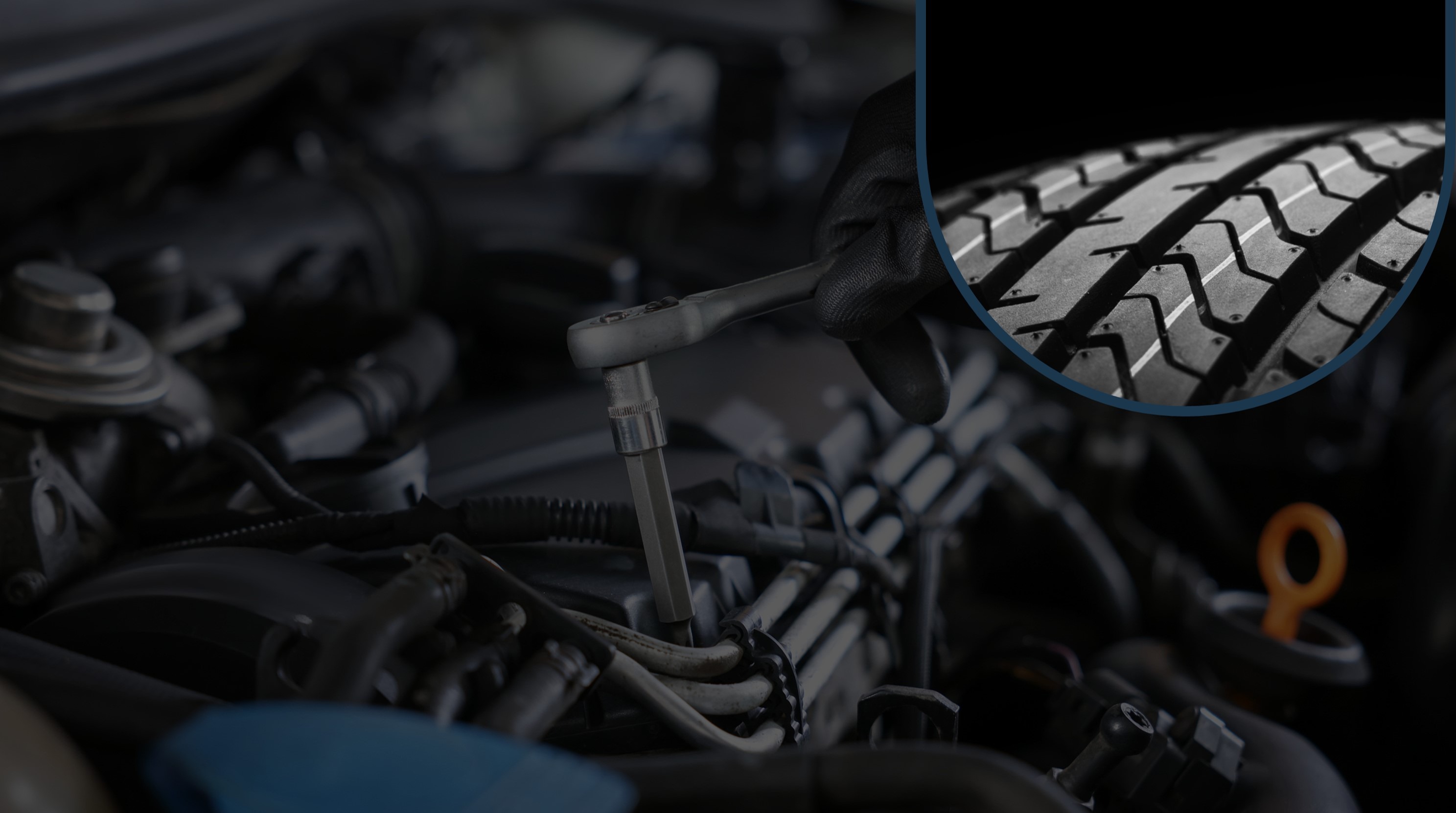 Member Grading and Assessment Management System